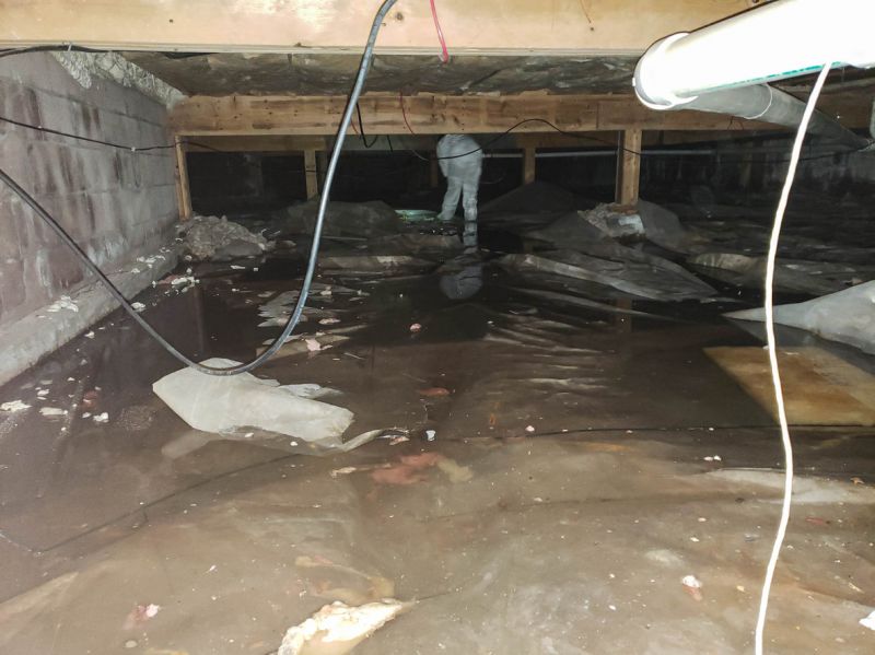 Basement Waterproofing Professionals